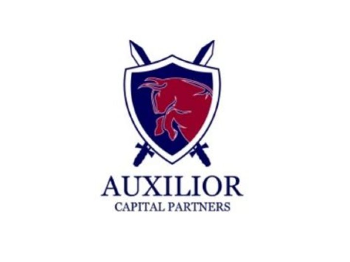 Auxilior Capital Partners: The Ultimate Guide to a Leading Investment Firm