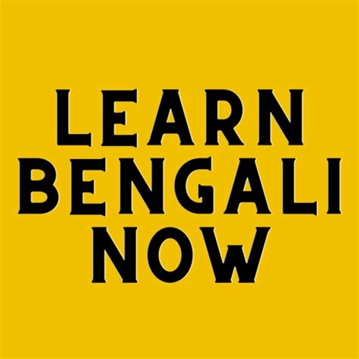 Bollyflix Bengali Movies: Your Guide to Streaming & More!