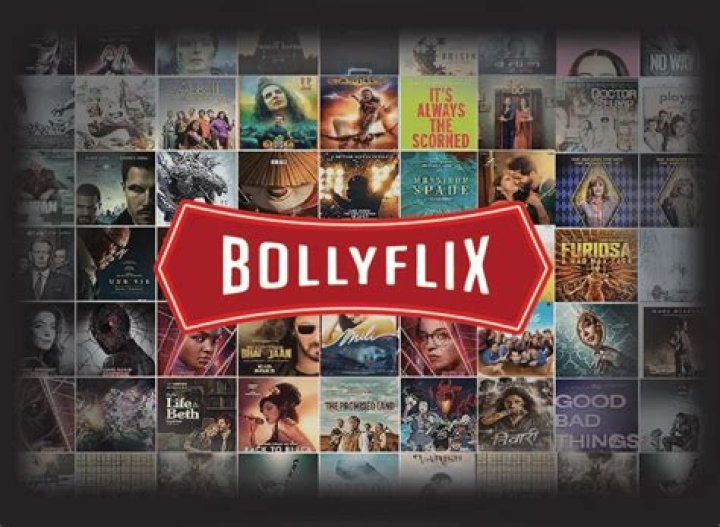 Bollyflix Guide: Your Ultimate Guide to Hindi Movies & More | Stay Updated
