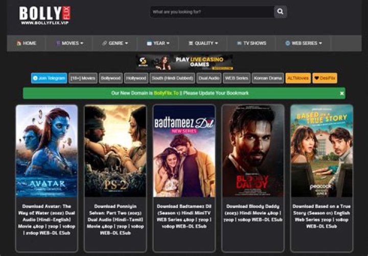 Bollyflix: Your Guide to Free Bollywood & Indian Movies - What You Need to Know