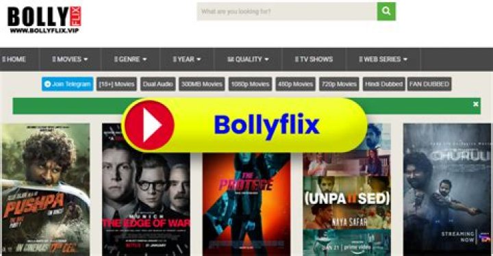Bollywood Buzz: Bollyflix & Streaming Guide | News & Downloads