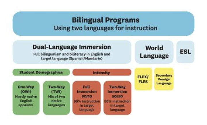 Bubblelang: A Revolutionary Approach to Language Learning