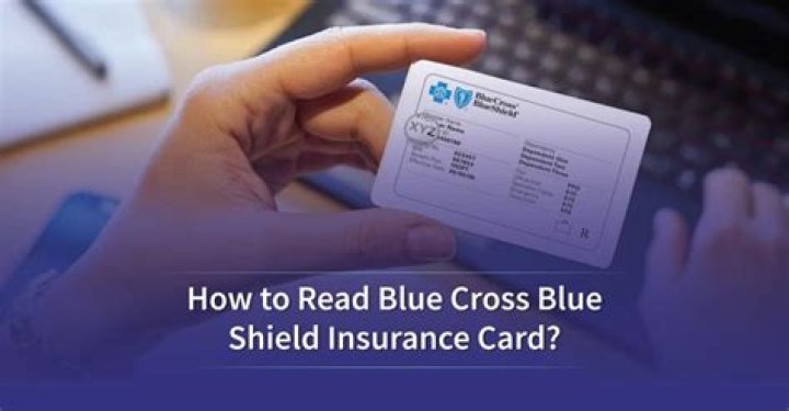Comprehensive Guide to Blue Shield Insurance: Your Ultimate Resource