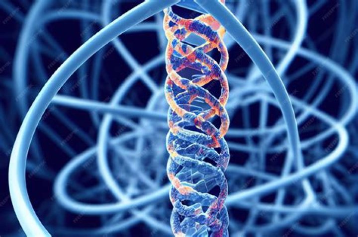 Decoding "Desi2": Gene, Culture, & Online Experiences - Explore Now!