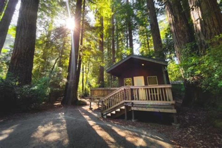 Jedediah Campground: Your Ultimate Guide to Nature's Paradise