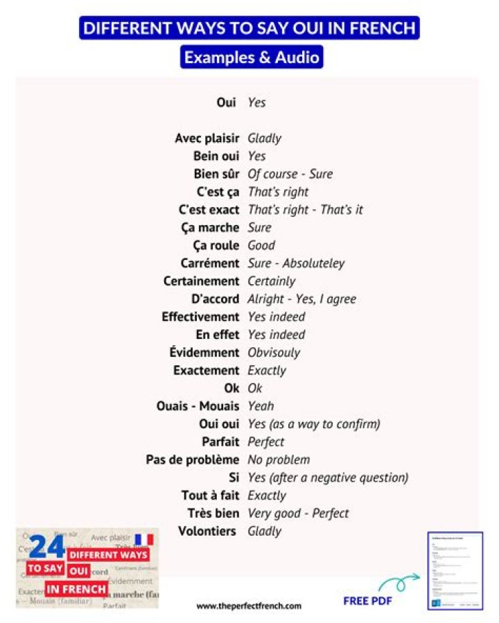 Oui Oui in French Means: A Comprehensive Guide to Understanding French Affirmation