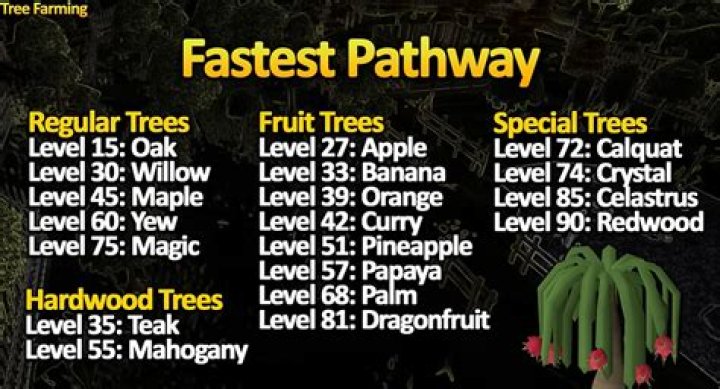 Papaya Fruit Tree OSRS: A Comprehensive Guide to Growing and Maximizing Profits