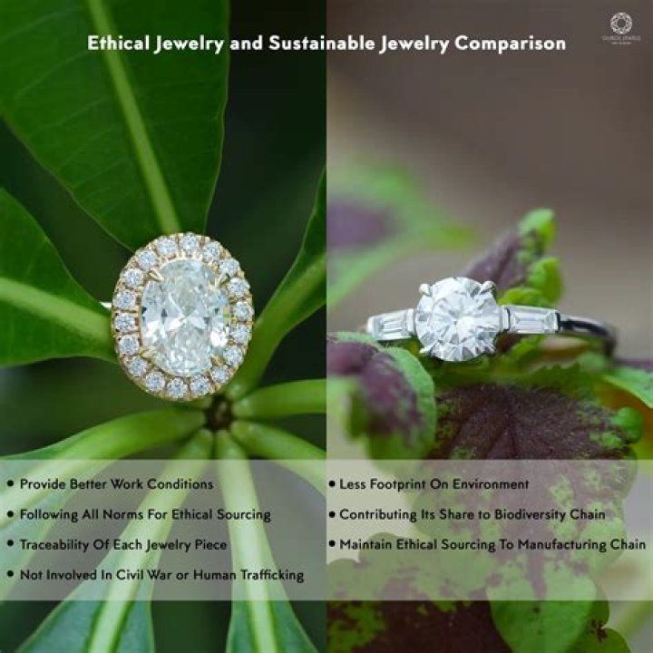 Plumjewels Erome: A Comprehensive Guide to the Rising Star in the Jewelry Industry