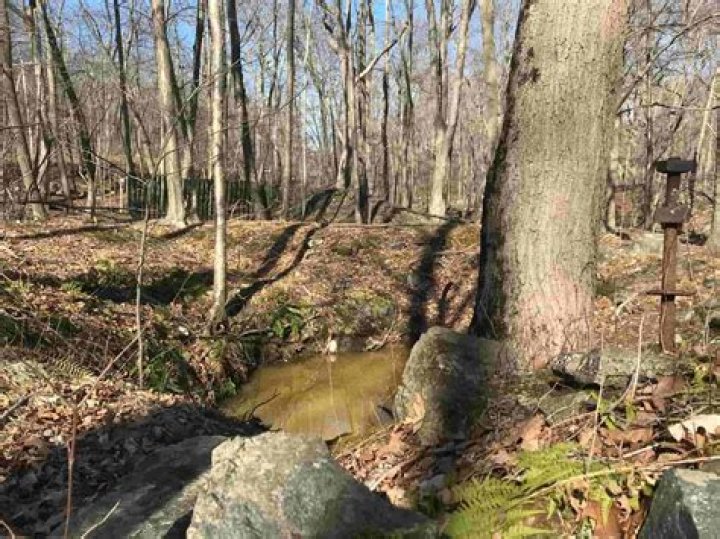 Prospectors NJ: Unlocking the Secrets of New Jersey's Hidden Treasures