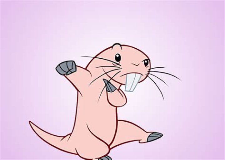 Rufus of Kim Possible: The Fascinating Sidekick with Unmatched Charm