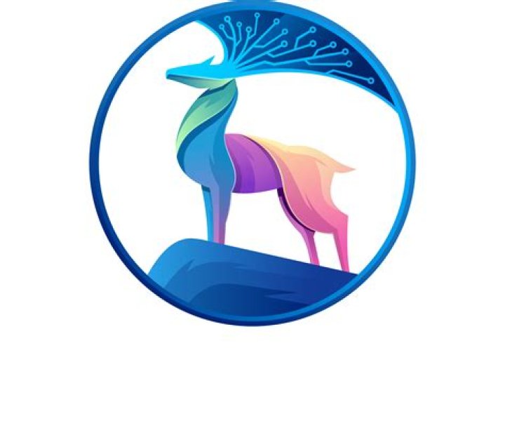 Somali VIP Group Telegram: Exploring the Exclusive Digital Community