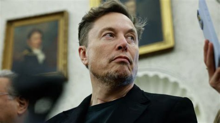 Unveiling the World of Griffon Musk: A Comprehensive Guide