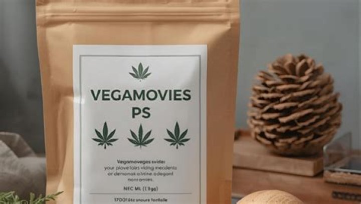 Vegamovies: Explore Alternatives & Risks - Your Guide in 2024