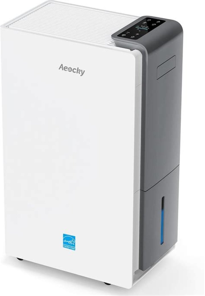 Why Renting a Dehumidifier from Menards is a Smart Choice
